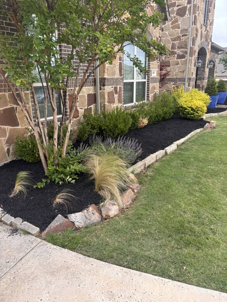 Freshly mulched flower bed with clean edges along a residential walkway