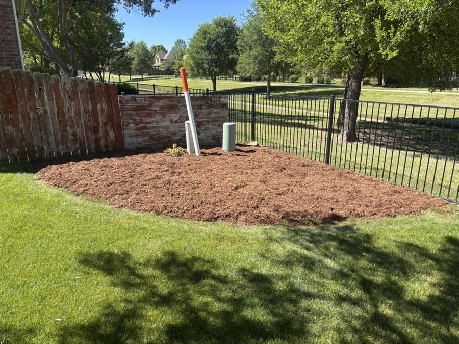 Yard after seasonal cleanup with trimmed beds and cleared walkway